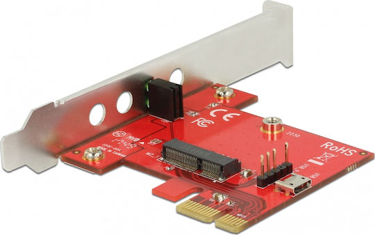 DeLock Κάρτα PCIe σε 1 θύρα M.2