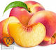 TPA Aroma Peach Juicy 10ml 1Stück