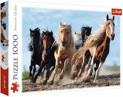 Galopping Horses Puzzle 2D 1000 Pieces