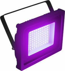 Eurolite Стробоскопична Светлина LED IP FL-50 SMD Лилава Eurolite Стробоскопична Светлина LED IP FL-50 SMD Лилава