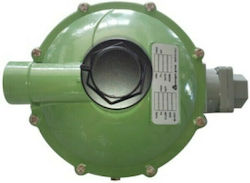 Reca Gas Regulator Internal Setting Maximum Flo...