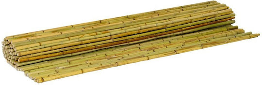 Showood Καλαμωτή με Ολόκληρο Καλάμι Μπαμπού 1.5x3m 30293 Showood Καλαμωτή με Ολόκληρο Καλάμι Μπαμπού 1.5x3m 30293