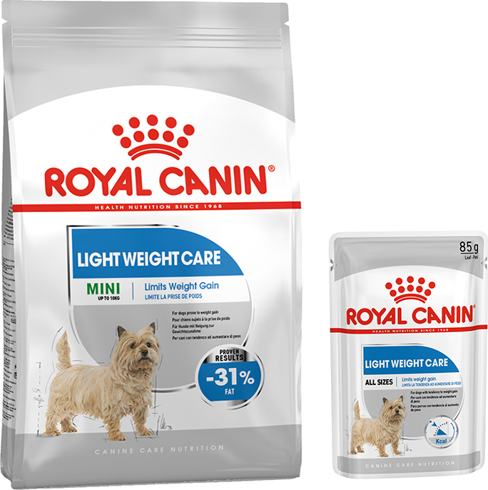 mini light weight care