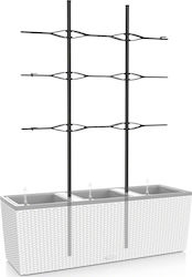 Lechuza Trio Cottage 30 Plant Support Stick 135cm 15011