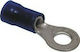 Eval Elektrischer Terminal Ring mit Isolierung 4.3mm Blau (04363-4BL)