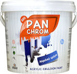 Pan Chrom Plastic Acrilyc Paint for Exterior Use White 3lt