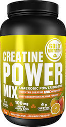 Gold Nutrition Creatine Power Mix Monohydrate Creapure Tasty Mango Orange 1000gr Gold Nutrition Creatine Power Mix Monohydrate Creapure Tasty Mango Orange 1000gr