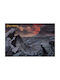 Pyramid International Афиш Lord of the Rings 91.5x61см
