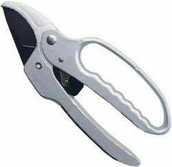 Pruning Shears Type Ratchet