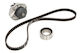 INA Set of Car Engine Belt for Fiat Panda / Punto 530020630