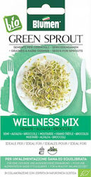 Blumen Wellness Mix Σπόροι Βιολογικής Καλλιέργειας 45gr