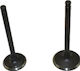 Lifan Motorcycle Intake & Exhaust Valves Lifan LF 125