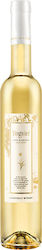 Giannikos Winery Bio Late Harvest Weiß Süß 500ml Giannikos Winery Bio Late Harvest Weiß Süß 500ml