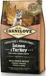 Carnilove Salmon & Turkey Puppy Large 4kg Ξηρά Τροφή χωρίς Σιτηρά για Κουτάβια Μεγαλόσωμων Φυλών με Γαλοπούλα και Σολομό