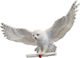 Harry Potter Harry Potter: Hedwig Owl Post Wall Decor Φιγούρα 46εκ.