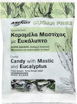 Anemos Candies with Sours Flavour Sugar Free 70gr