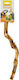 Benelux Bird Cage Game Branch 25cm