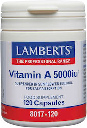 Lamberts Vitamin A Βιταμίνη 5000iu 120 κάψουλες Lamberts Vitamin A Βιταμίνη 5000iu 120 κάψουλες