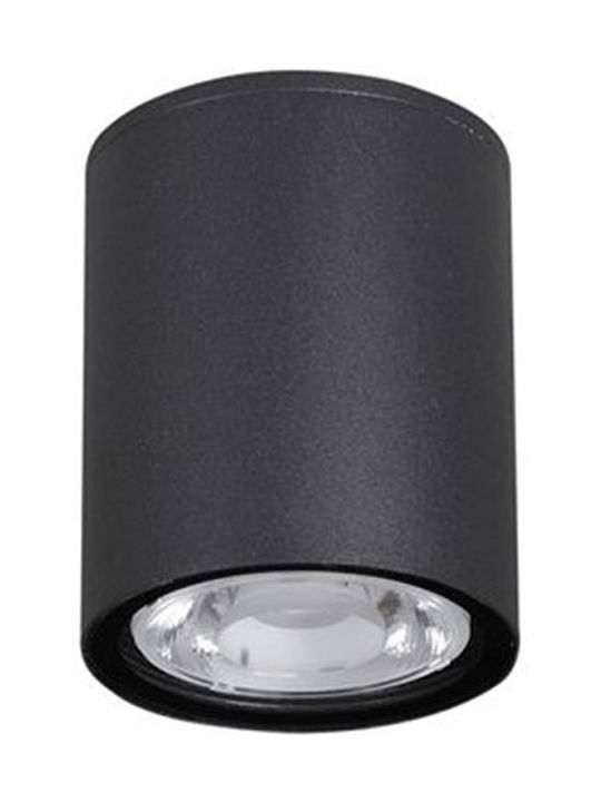 Fan Europe Sole Luce Waterproof Outdoor Ceiling Spot in Black Color 2061160029