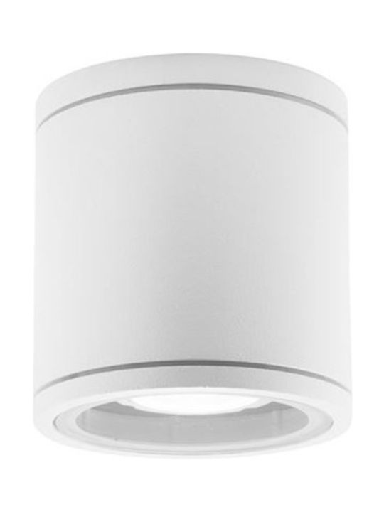 SoleLuce Outdoor Ceiling Flush Mount in White Color 2061600409