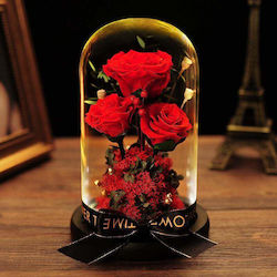 All Saints Rose Red in Yala with LED Giftland All Saints Rose Red in Yala with LED Giftland