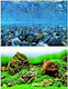 Wave Double Background Vision Blister with Aquaview Aquarium Decoration Poster