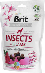 Brit Care Dog Insects Λιχουδιά 200gr