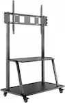 V7 TV CART3 TV Mount Floor up to 105"