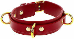 Taboom D-Ring Collar Deluxe Collar Red