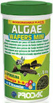 Prodac Algae Wafers Mini Bottom Fish Food with Spirulina 100ml 50gr PRAWM100