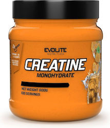 Evolite Creatine Monohydrate Orange 500gr