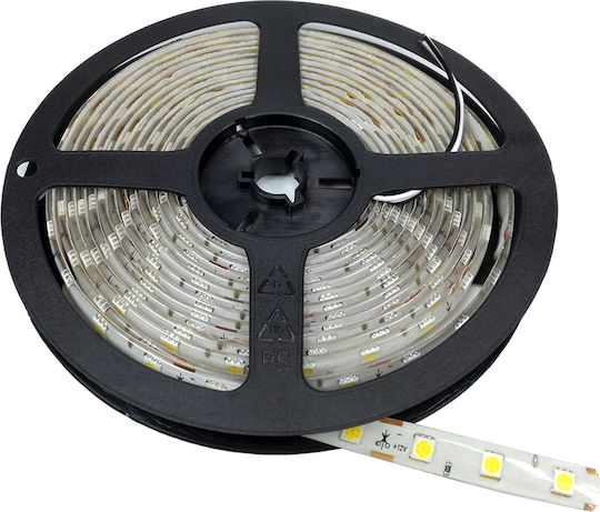 Optonica LED Strip 12V Red Light 5m Type SMD5050
