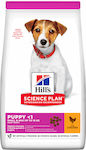 Hill's Science Plan Puppy <1 Small & Mini 6kg Dry Food for Puppies of Small Breeds with Chicken