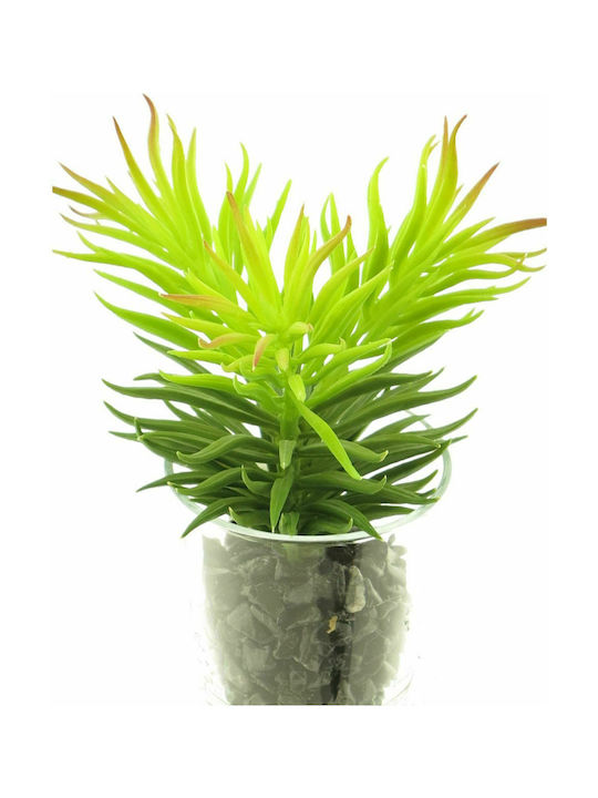 Supergreens Τεχνητό Φυτό σε Γλάστρα Παχύφυτο Πράσινο 17cm