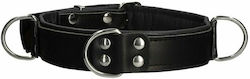 Shots Ouch Deluxe Bondage Collar Black