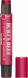 Burt's Bees Shimmer Lip