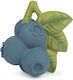 Oli&Carol Jerry The Blueberry Teething Ring Teether Made of Rubber for 0 m+ OC201253