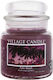 Village Candle Scented Candle Jar with Scent Palm Beach Purple 389gr 1pcs