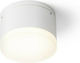 Rendl Light Studio Einzel LED Warmes Weiß Spot in Weiß Farbe