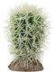 Hobby Aquaristik Cactus Great Basin Plastic Accessory for Reptiles Terrarium