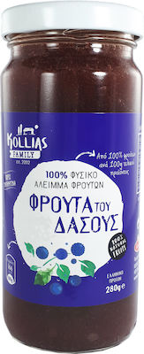 Κοχύλι Marmelade Waldfrüchte mit Agave 280gr