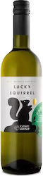 Κατώγι Αβέρωφ Lucky Squirrel Λευκό Ξηρό 750ml