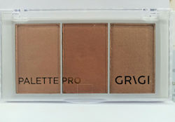 Grigi Multi Palette Trio 21gr