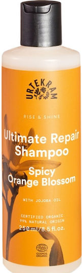 Urtekram Spicy Orange Blossom Σαμπουάν Αναδόμησης/Θρέψης & Λάμψης για Όλους τους Τύπους Μαλλιών 250ml