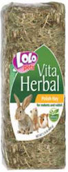 Lolo Pets Iarbă artificială pentru Iepure / Hamster 500gr