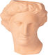 DOIY Διακοσμητικό Βάζο Keramik Apollon Terracota 16.5x7x20cm 1Stück