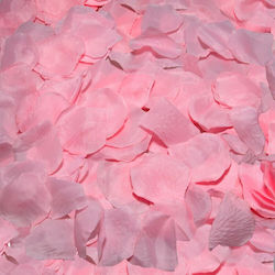 Dream Love Diablo Picante Petals Erotic Set of Rose Petals Pink 100 Pieces D-230255