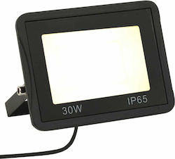 vidaXL Waterproof LED Floodlight 30W 3000K