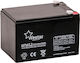 Westar Baterie Fotovoltaică AGA Tip închis 12V 12Ah (WSFM12-12)