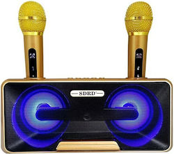 Karaoke-Lautsprecher mit Kabellosen Mikrofonen ...